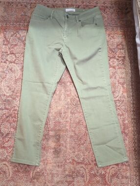 LOFT Sage Green Stretch Denim Pants
